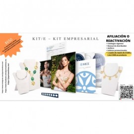 kit  de inicio empresarial Nice